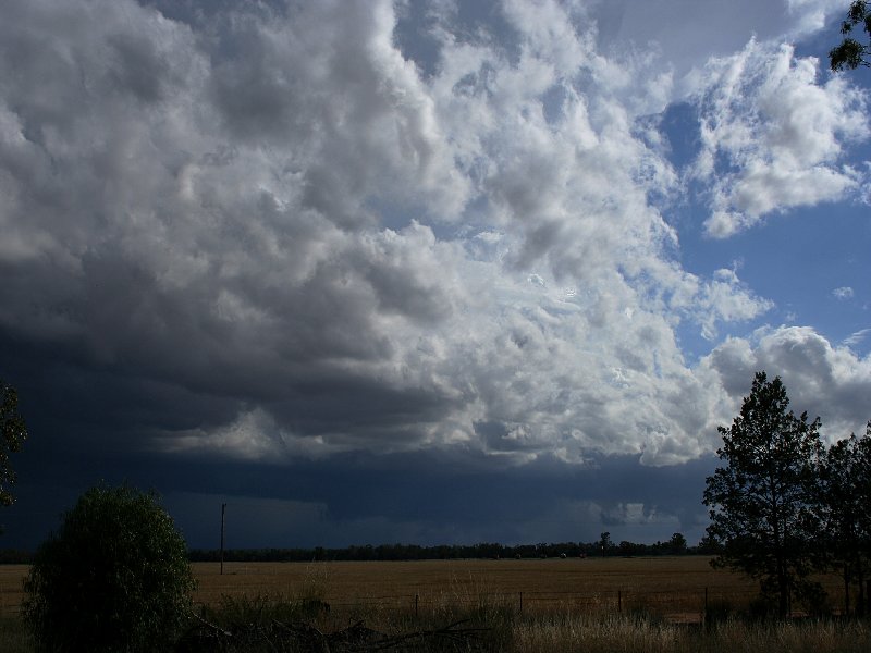 cumulonimbus supercell_thunderstorm : W of Barradine, NSW   25 November 2005