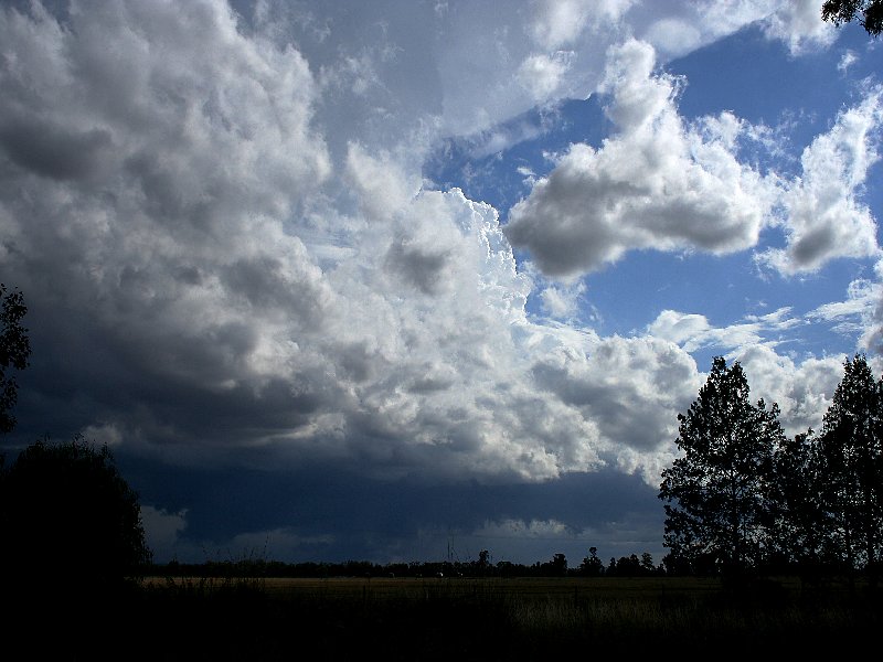 thunderstorm cumulonimbus_incus : W of Barradine, NSW   25 November 2005