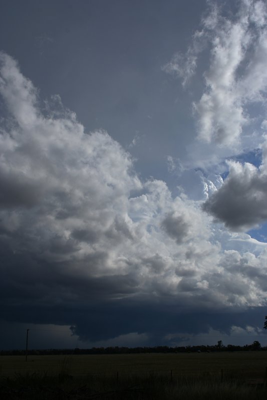 cumulonimbus thunderstorm_base : W of Barradine, NSW   25 November 2005