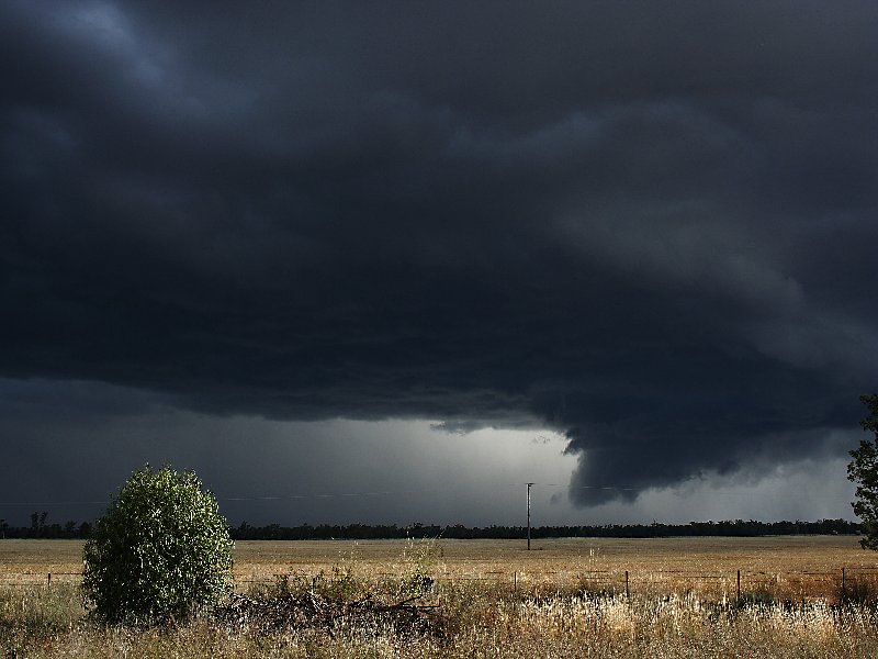 wallcloud thunderstorm_wall_cloud : W of Barradine, NSW   25 November 2005