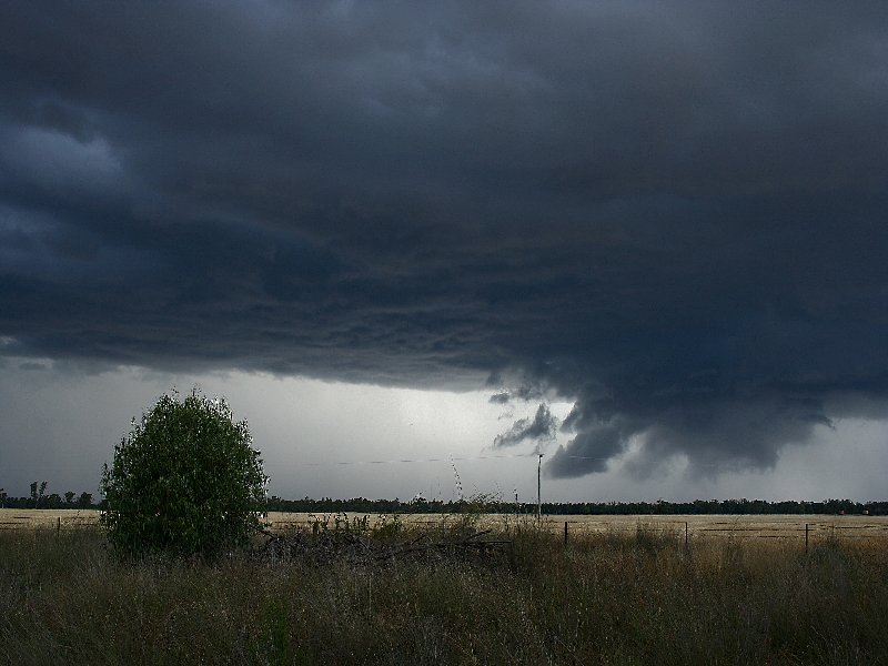 cumulonimbus supercell_thunderstorm : W of Barradine, NSW   25 November 2005