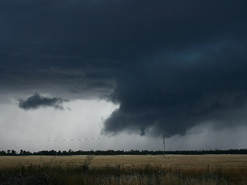 cumulonimbus supercell_thunderstorm : W of Barradine, NSW   25 November 2005