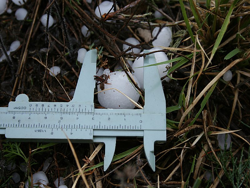 hailstones hail_stones : W of Barradine, NSW   25 November 2005