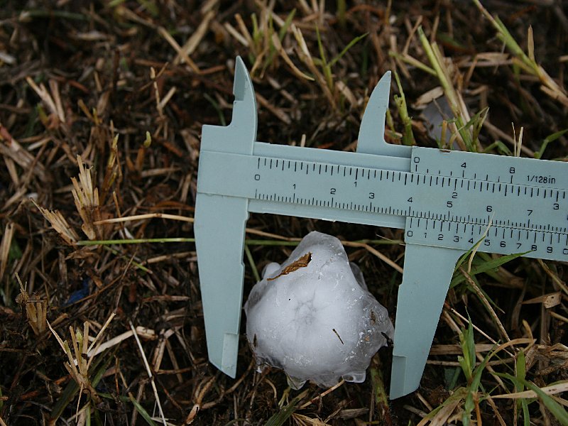 hailstones hail_stones : W of Barradine, NSW   25 November 2005