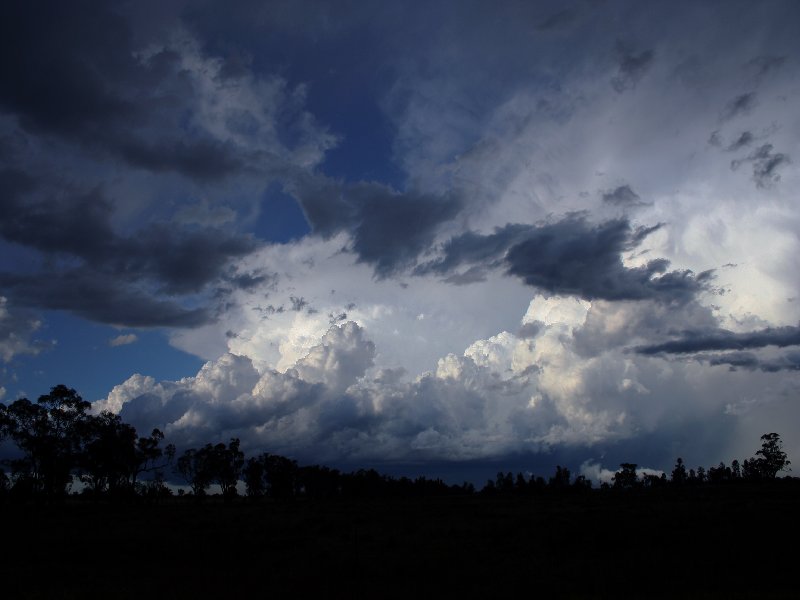 cumulonimbus supercell_thunderstorm : W of Barradine, NSW   25 November 2005