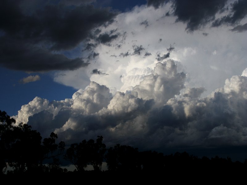 thunderstorm cumulonimbus_incus : W of Barradine, NSW   25 November 2005