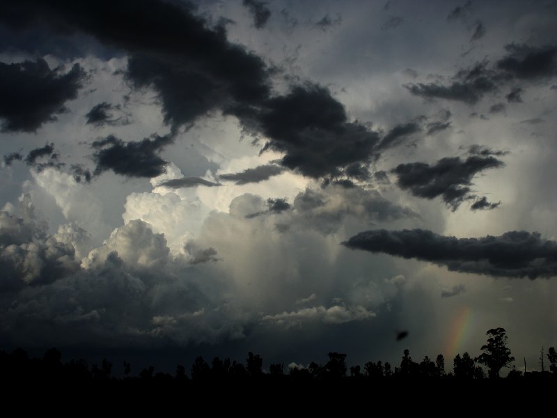 thunderstorm cumulonimbus_incus : W of Barradine, NSW   25 November 2005