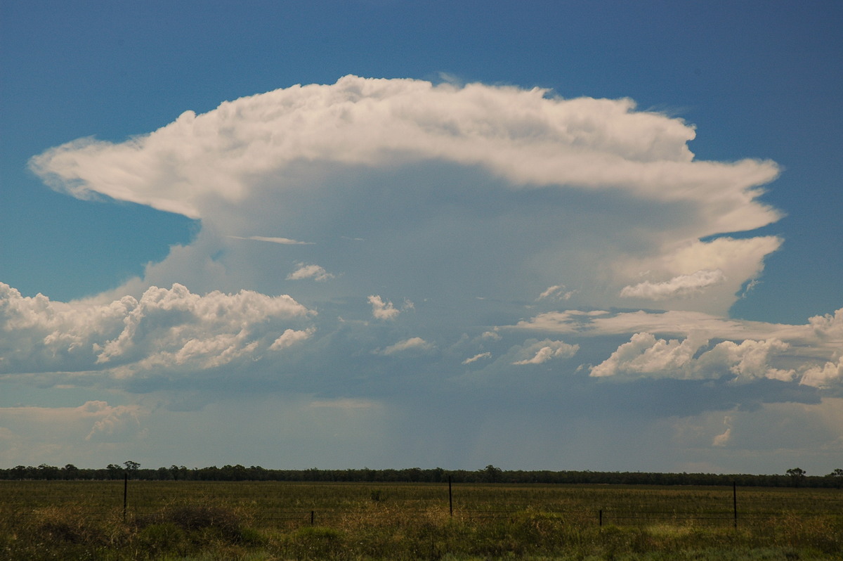 thunderstorm cumulonimbus_incus : Collarenabri, NSW   26 November 2005