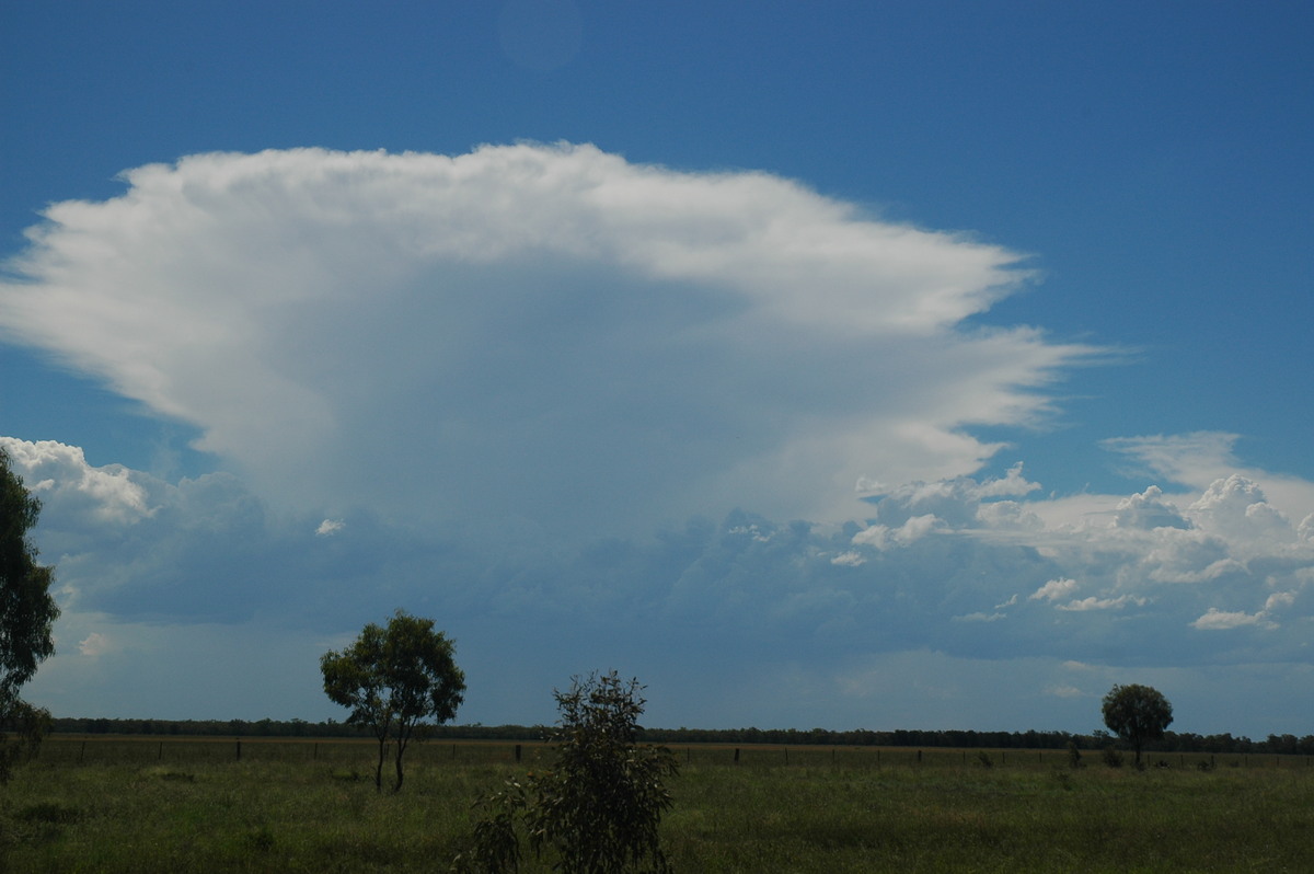 thunderstorm cumulonimbus_incus : Collarenabri, NSW   26 November 2005