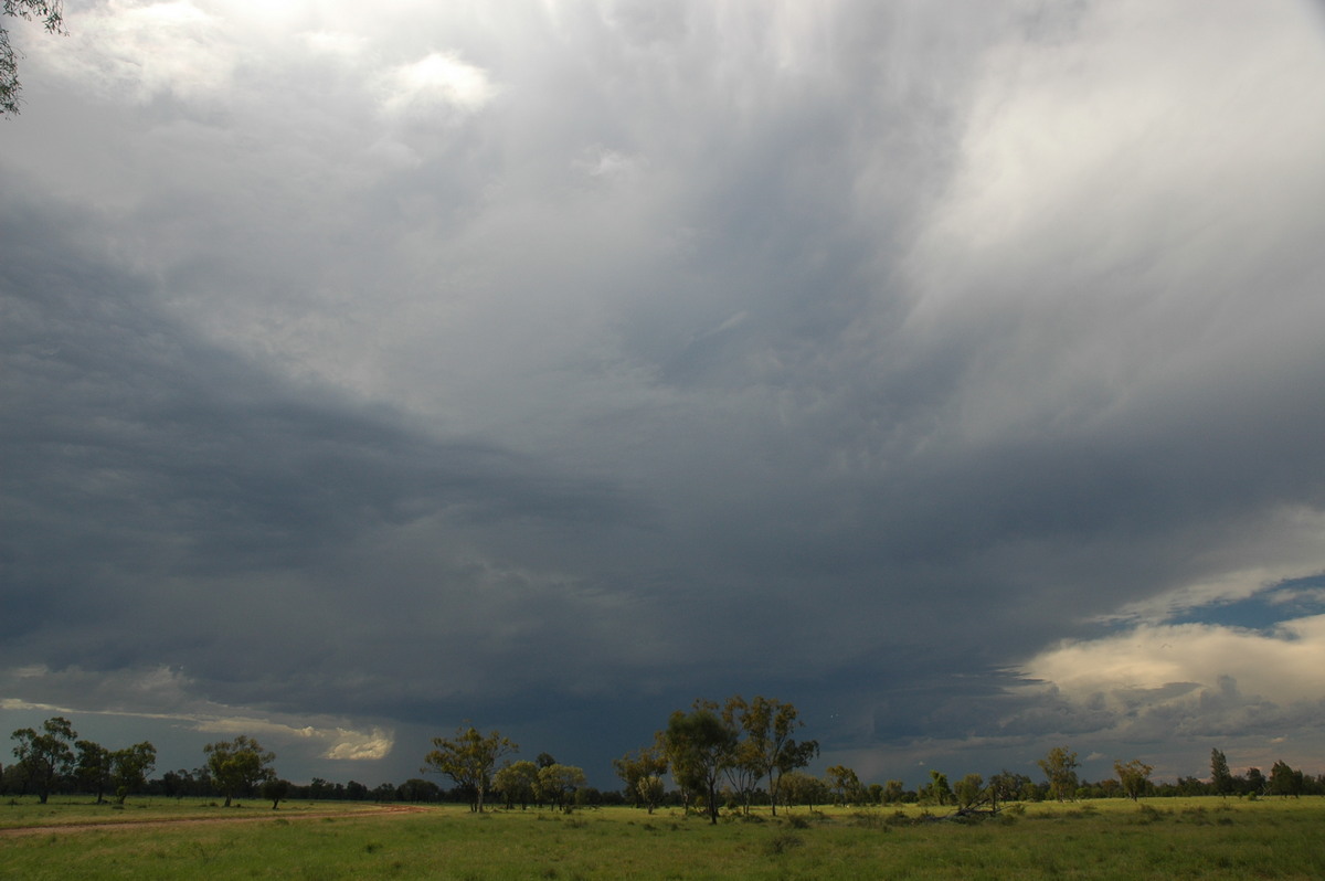 thunderstorm cumulonimbus_incus : Collarenabri, NSW   26 November 2005