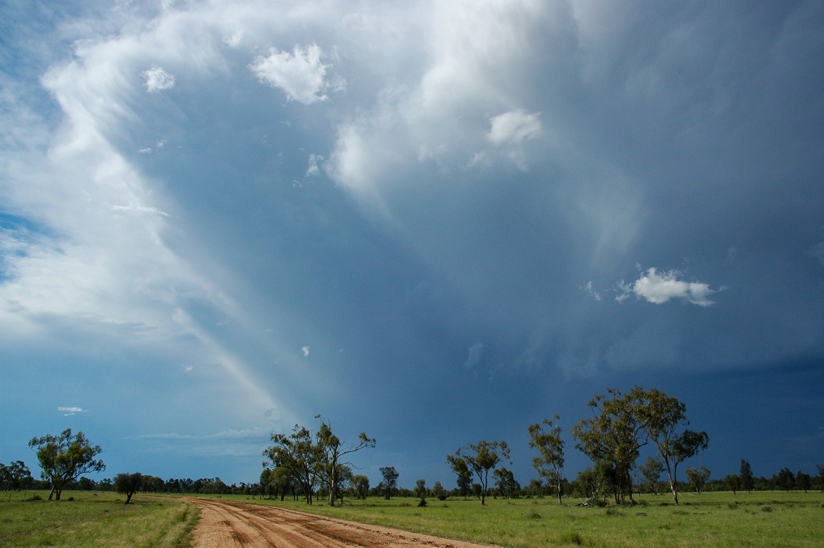 thunderstorm cumulonimbus_incus : Collarenabri, NSW   26 November 2005