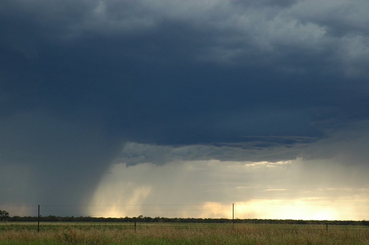 cumulonimbus thunderstorm_base : Collarenabri, NSW   26 November 2005