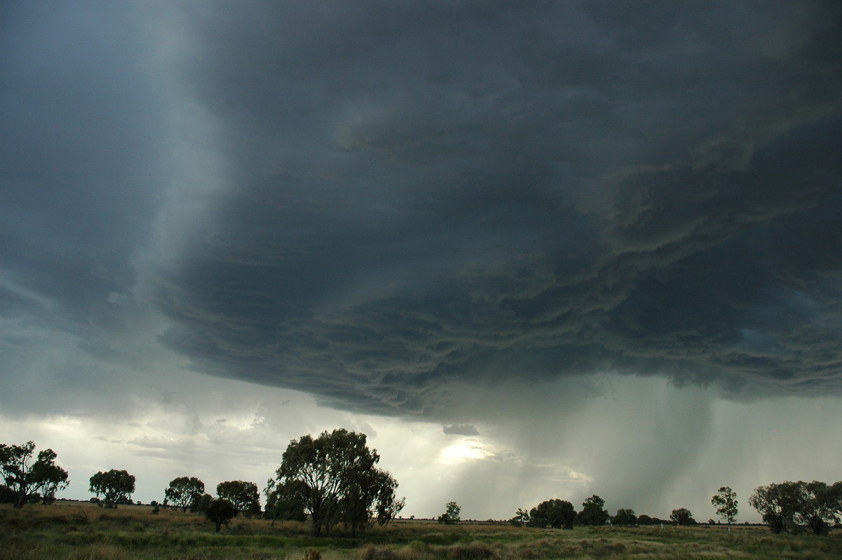 raincascade precipitation_cascade : Collarenabri, NSW   26 November 2005