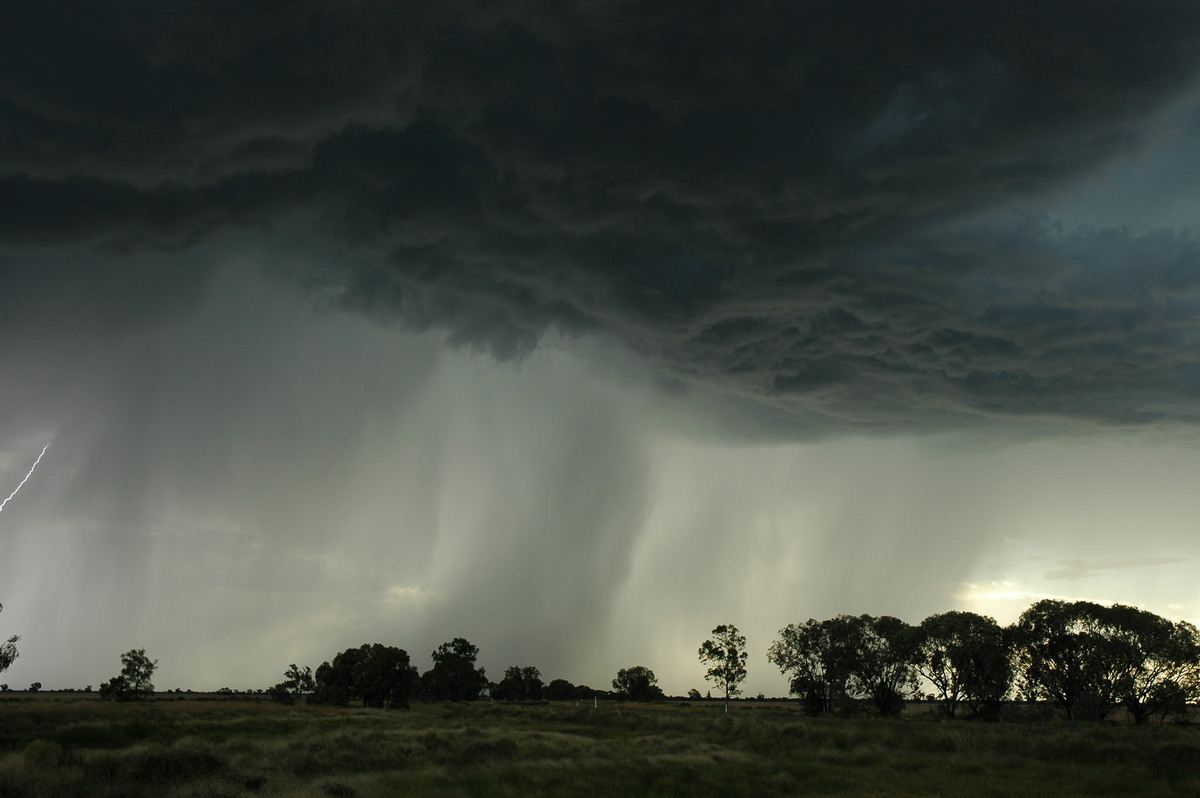 raincascade precipitation_cascade : Collarenabri, NSW   26 November 2005