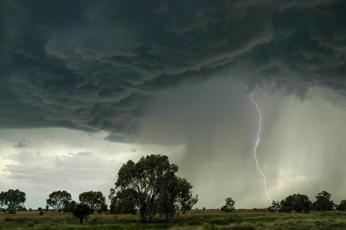 cumulonimbus thunderstorm_base : Collarenabri, NSW   26 November 2005