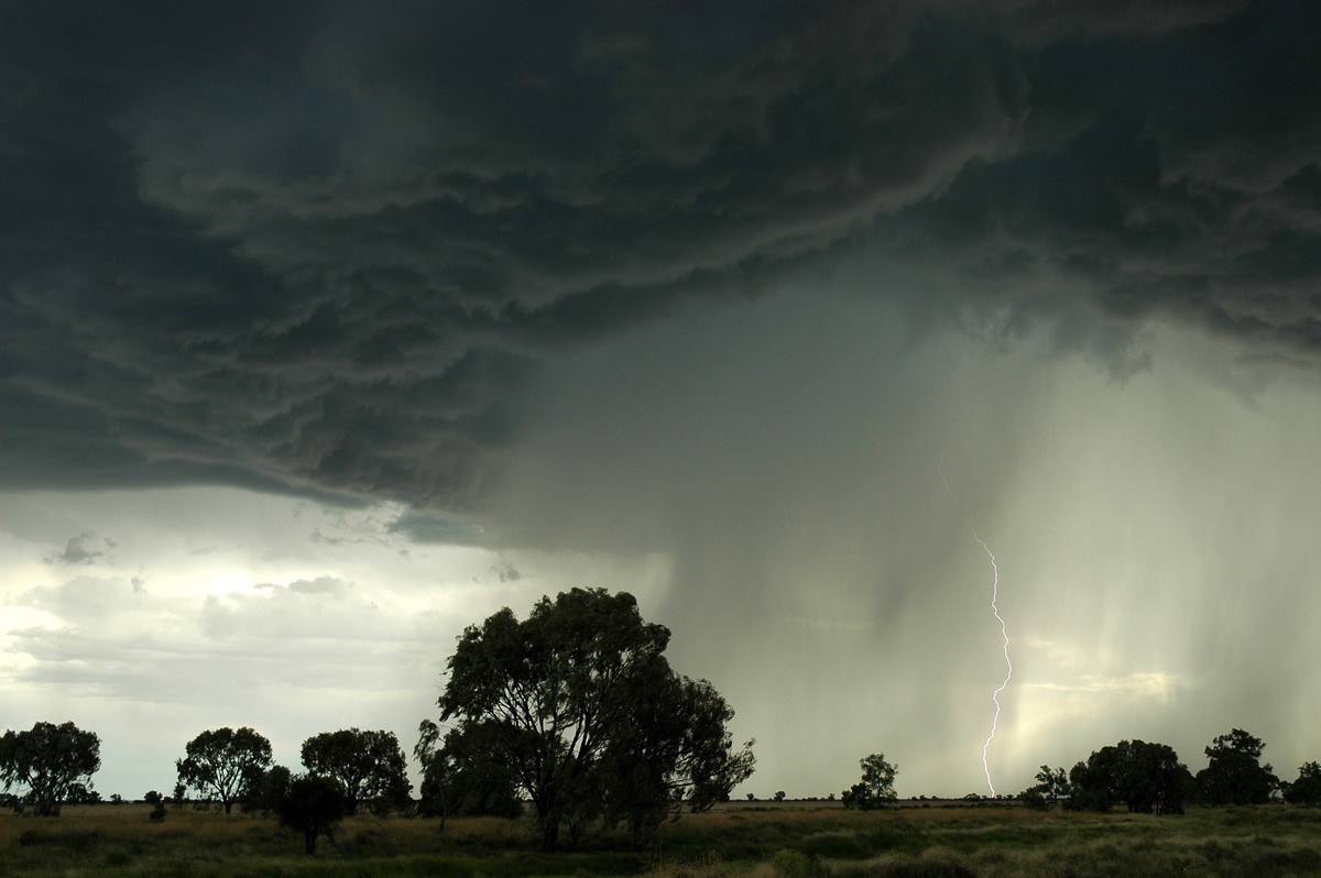 cumulonimbus thunderstorm_base : Collarenabri, NSW   26 November 2005