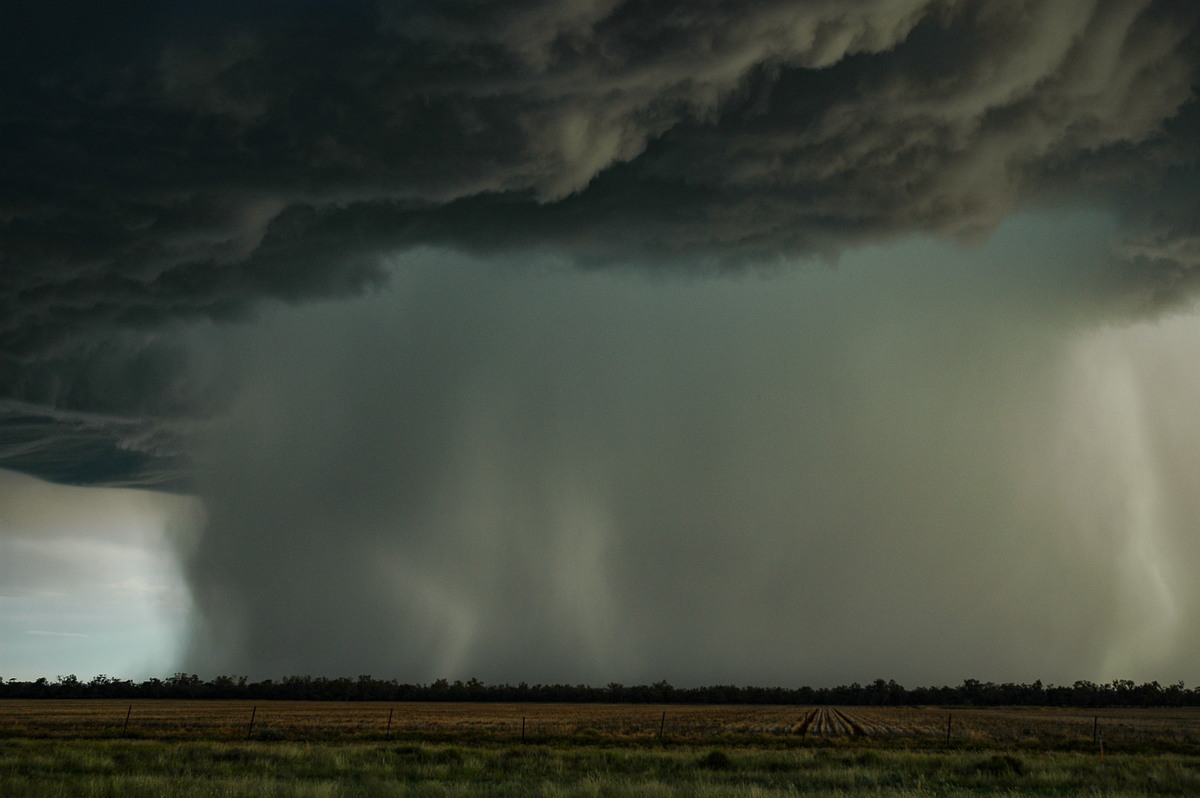 microburst micro_burst : Collarenabri, NSW   26 November 2005