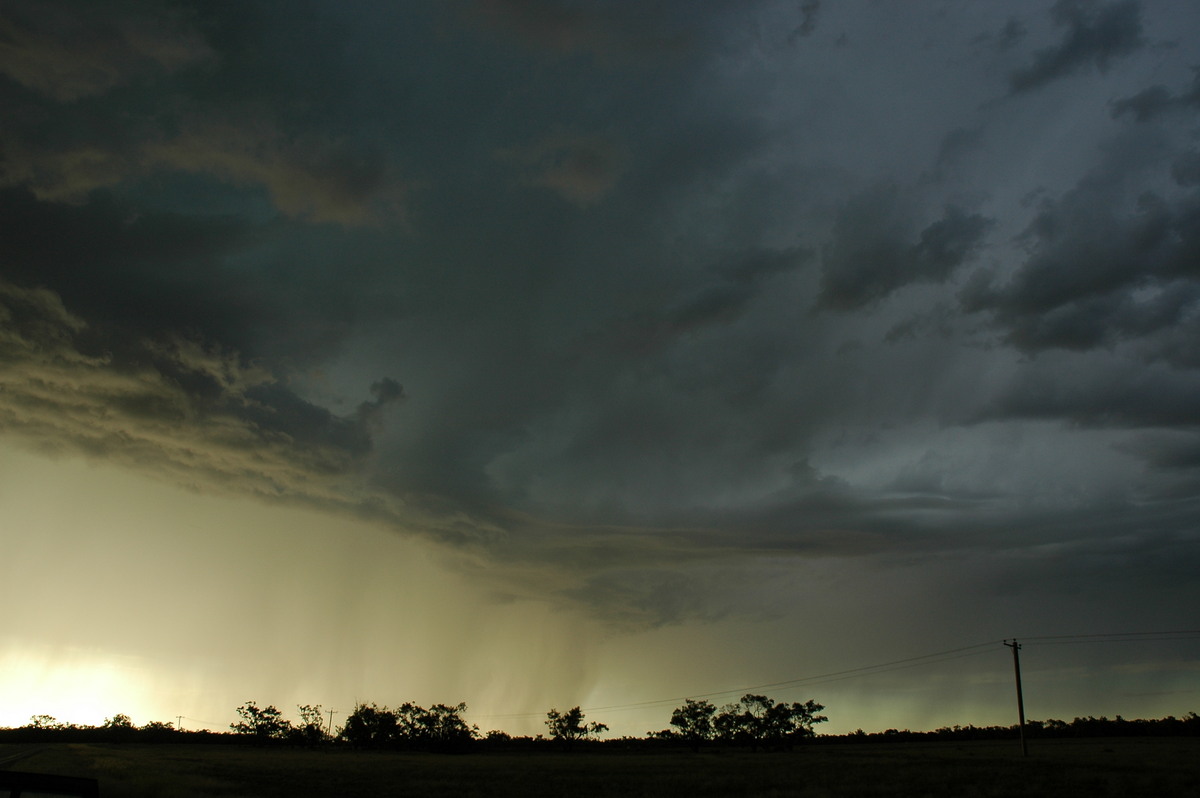 raincascade precipitation_cascade : Collarenabri, NSW   26 November 2005