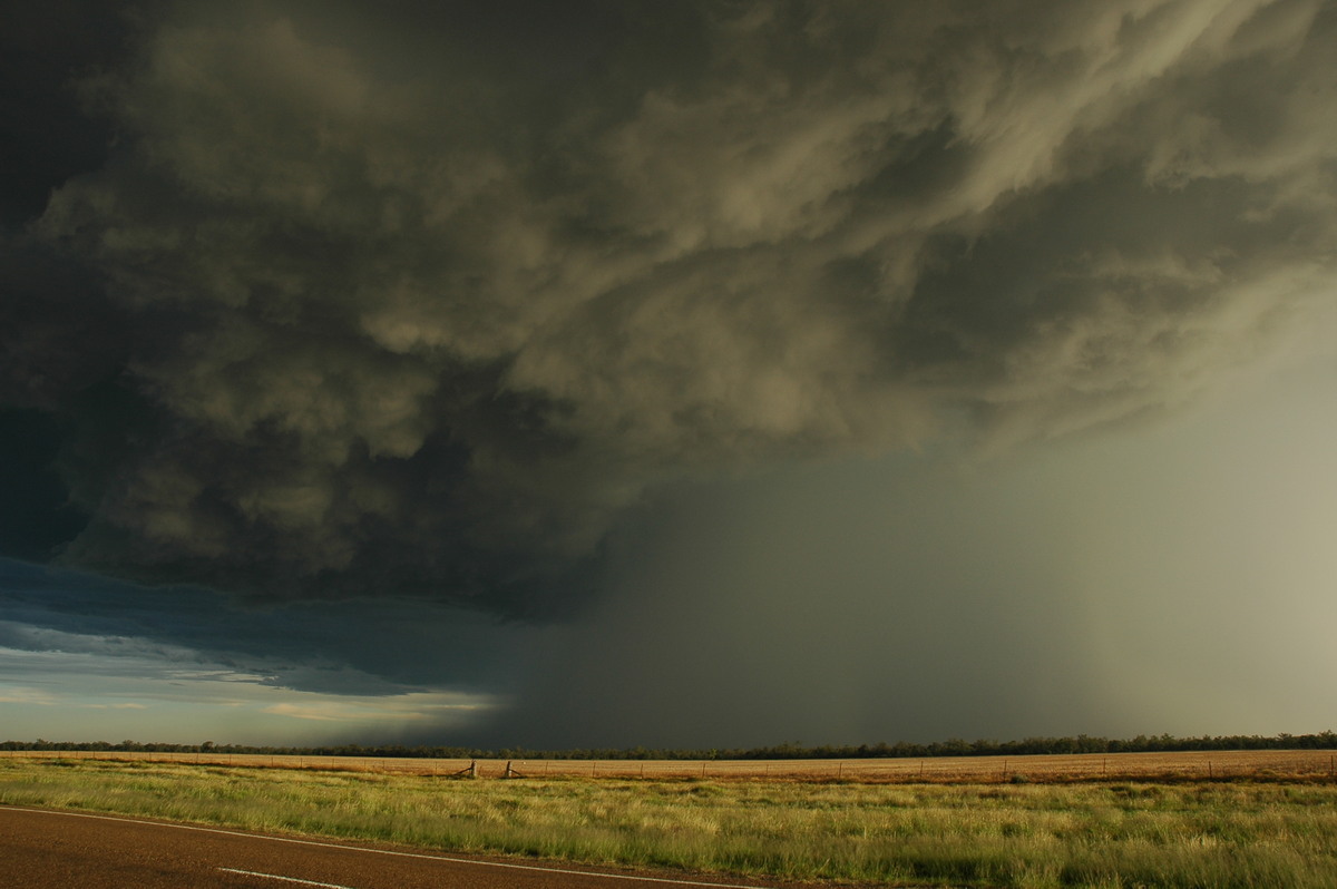 microburst micro_burst : Collarenabri, NSW   26 November 2005