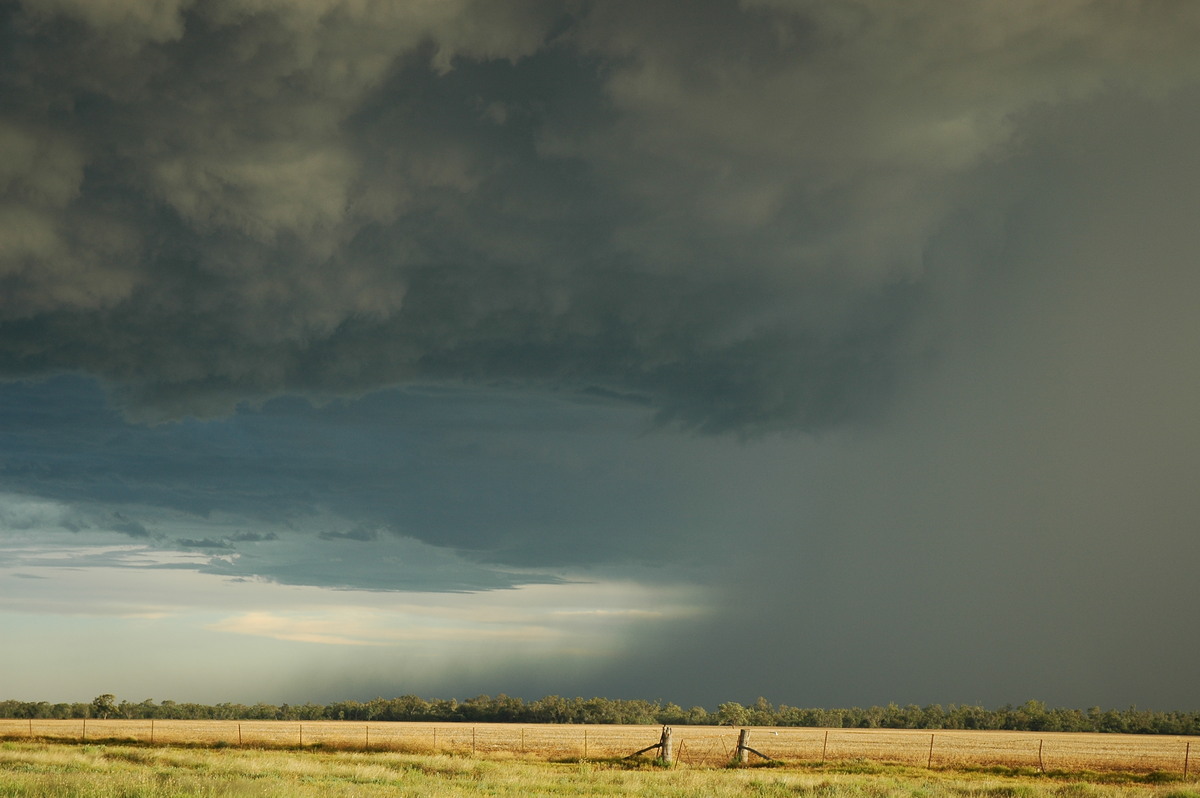 cumulonimbus thunderstorm_base : Collarenabri, NSW   26 November 2005