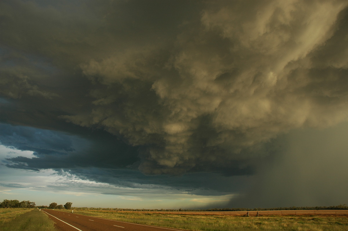 cumulonimbus thunderstorm_base : Collarenabri, NSW   26 November 2005