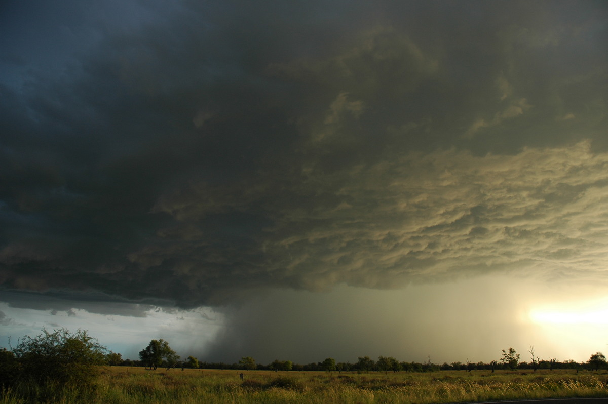 cumulonimbus thunderstorm_base : Collarenabri, NSW   26 November 2005