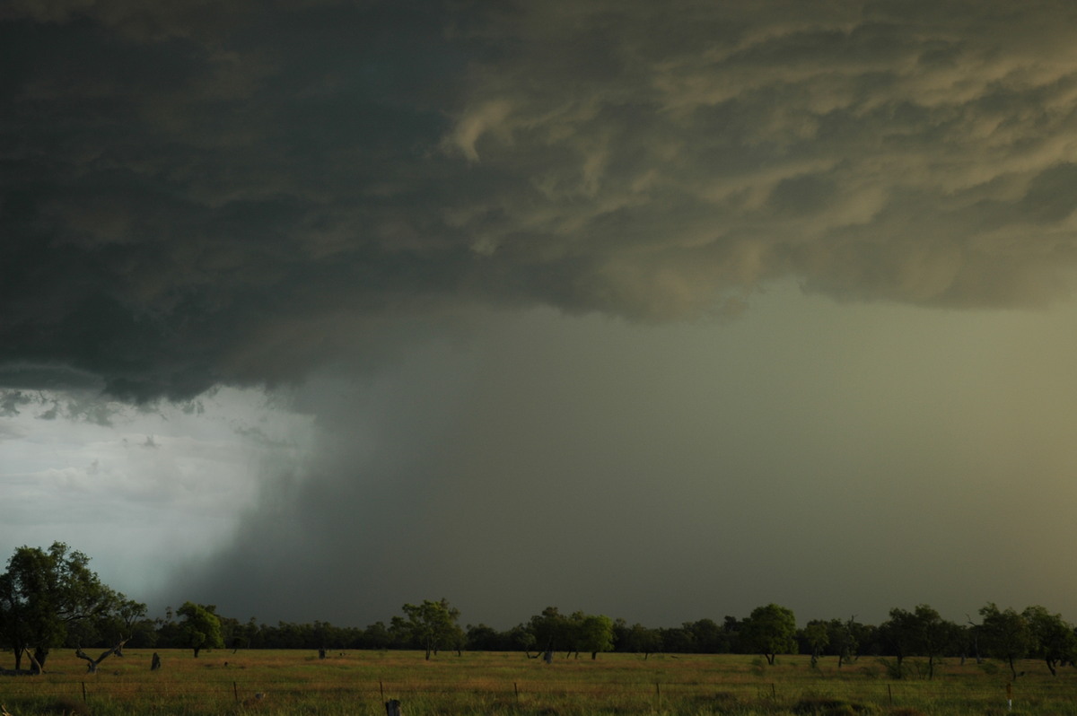 microburst micro_burst : Collarenabri, NSW   26 November 2005