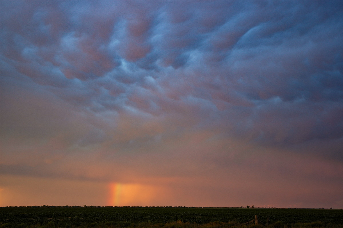 mammatus mammatus_cloud : Collarenabri, NSW   26 November 2005