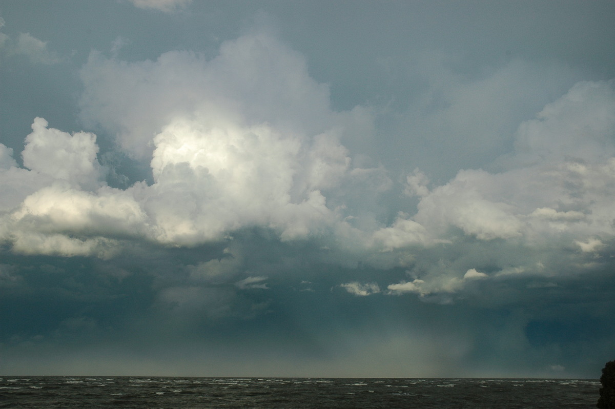 cumulus congestus : N of Brisbane, NSW   27 November 2005