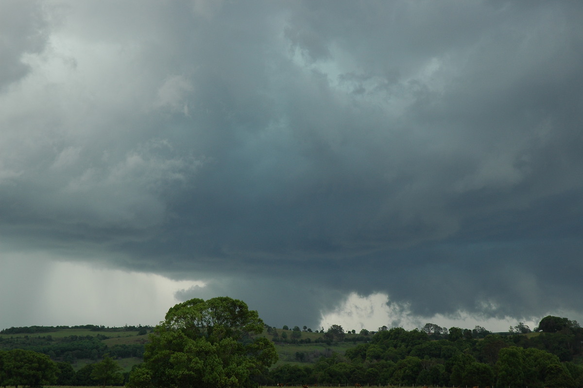 cumulonimbus thunderstorm_base : near Lismore, NSW   29 November 2005