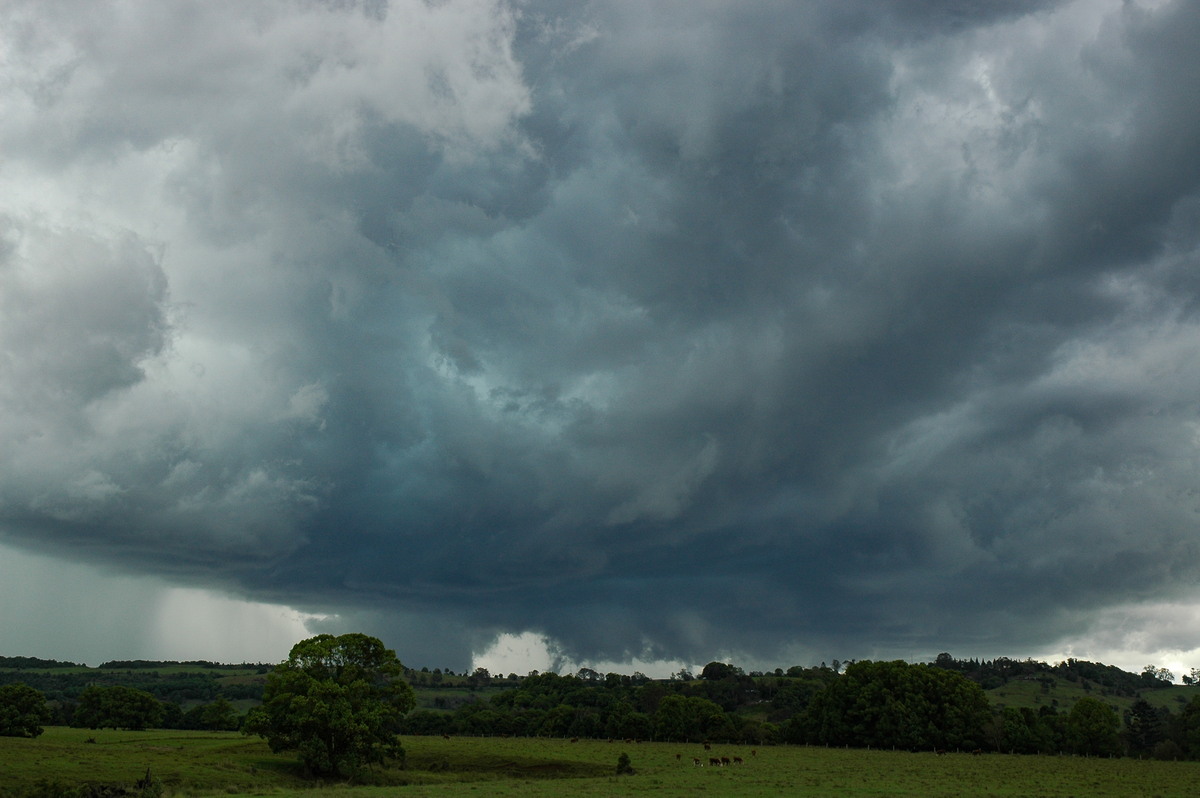 wallcloud thunderstorm_wall_cloud : near Lismore, NSW   29 November 2005