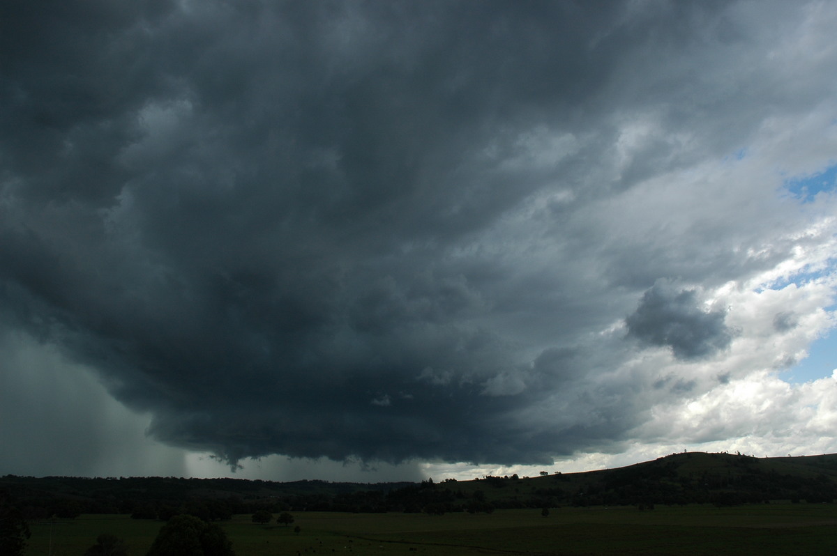 wallcloud thunderstorm_wall_cloud : near Lismore, NSW   29 November 2005