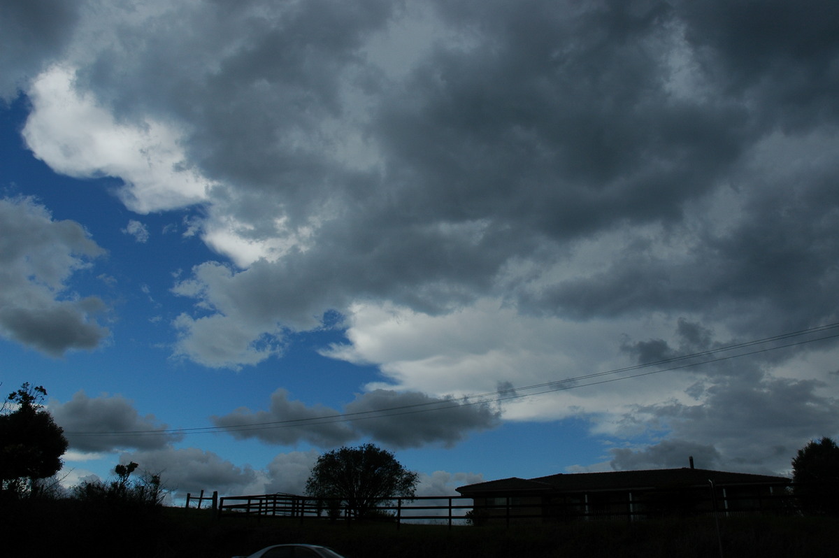 anvil thunderstorm_anvils : near Lismore, NSW   29 November 2005