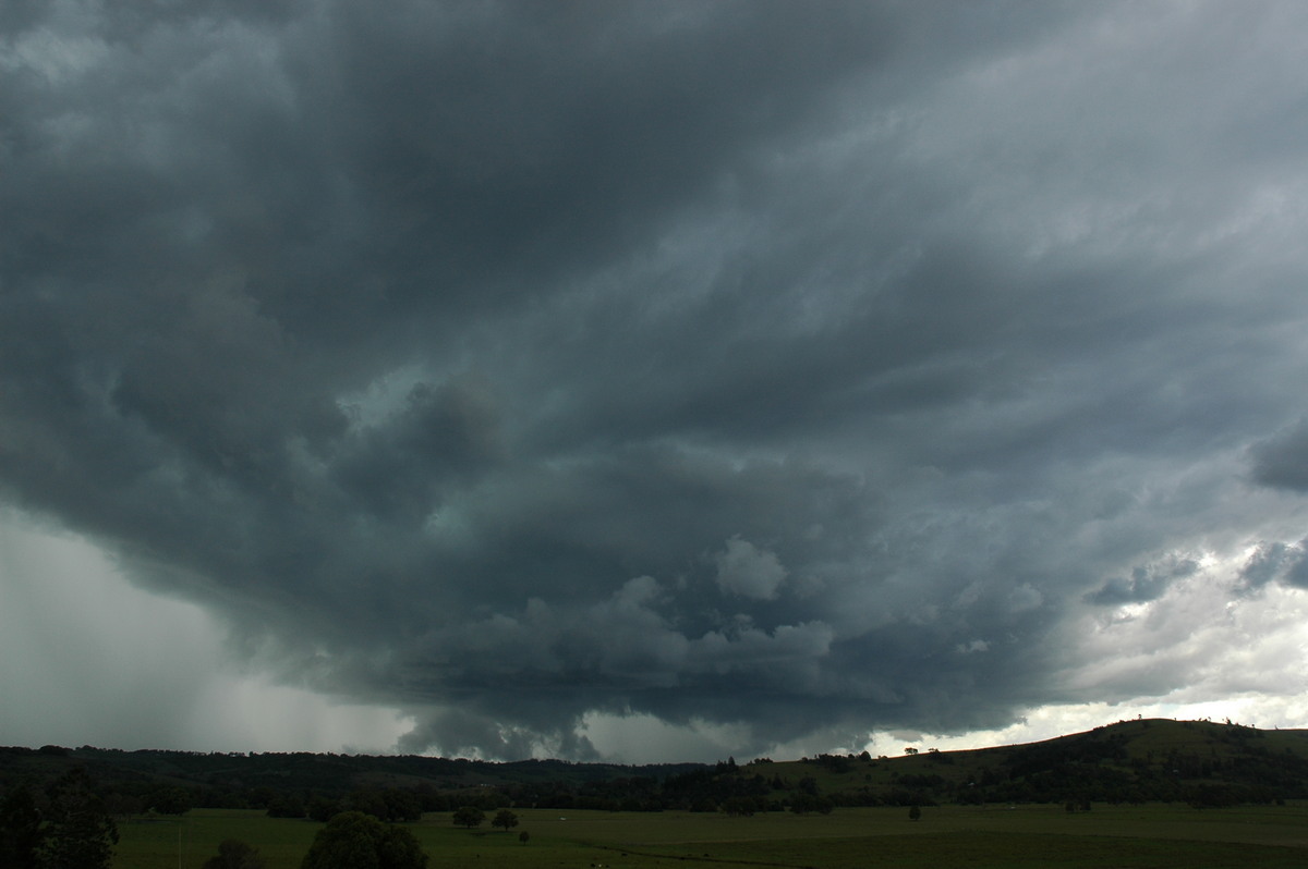 cumulonimbus thunderstorm_base : near Lismore, NSW   29 November 2005