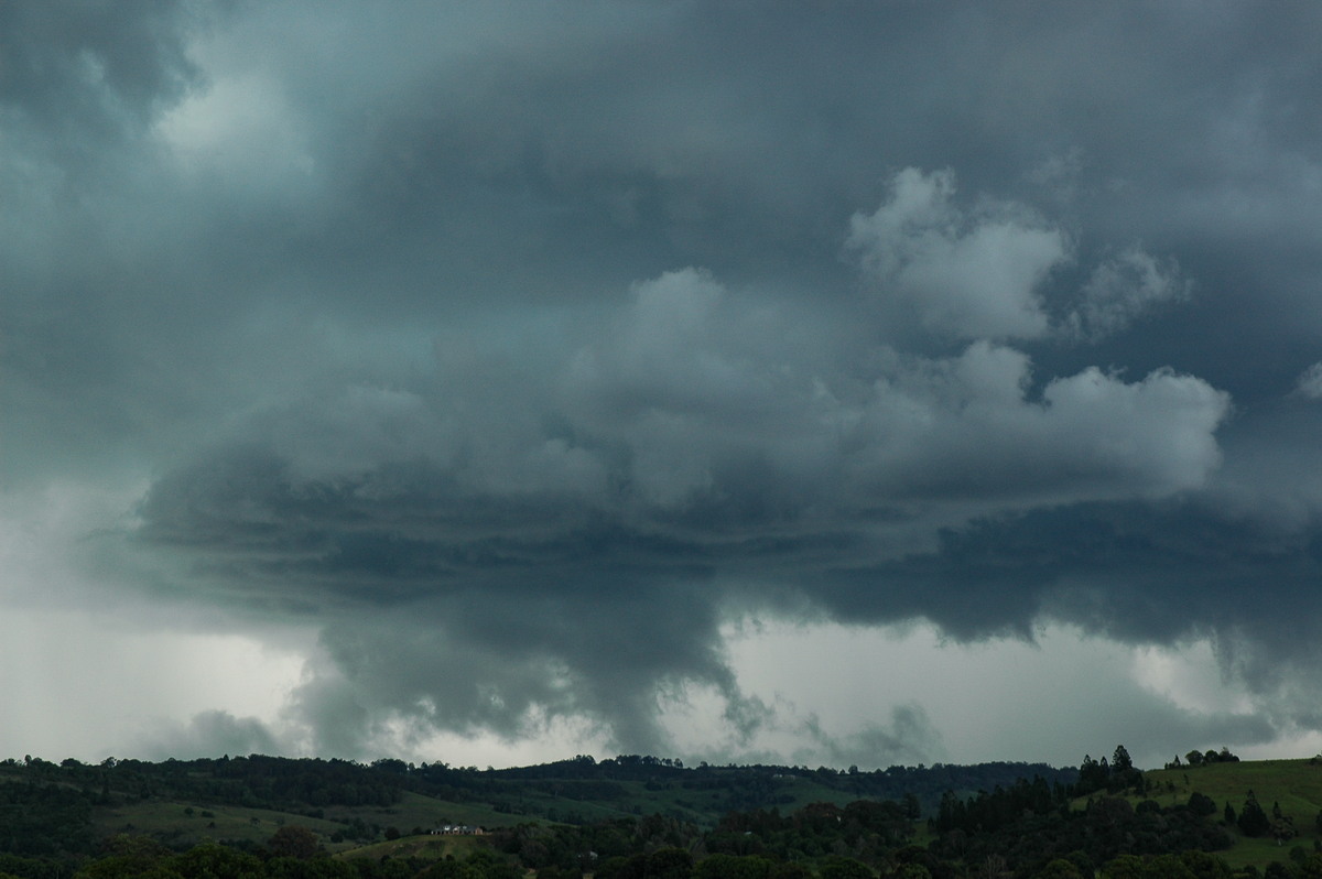 cumulonimbus thunderstorm_base : near Lismore, NSW   29 November 2005