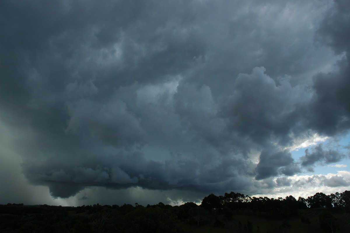 wallcloud thunderstorm_wall_cloud : near Lismore, NSW   29 November 2005