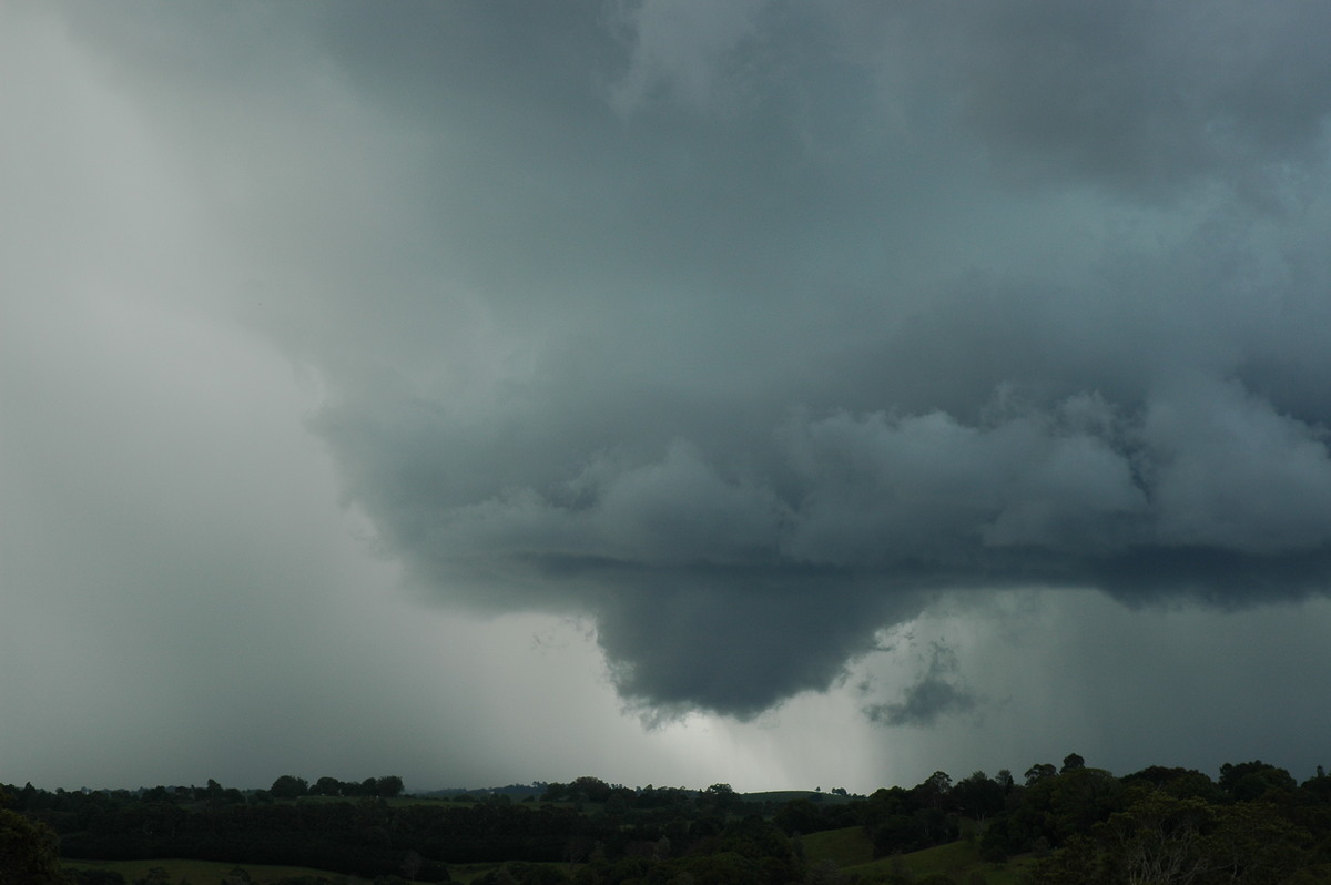 wallcloud thunderstorm_wall_cloud : near Lismore, NSW   29 November 2005