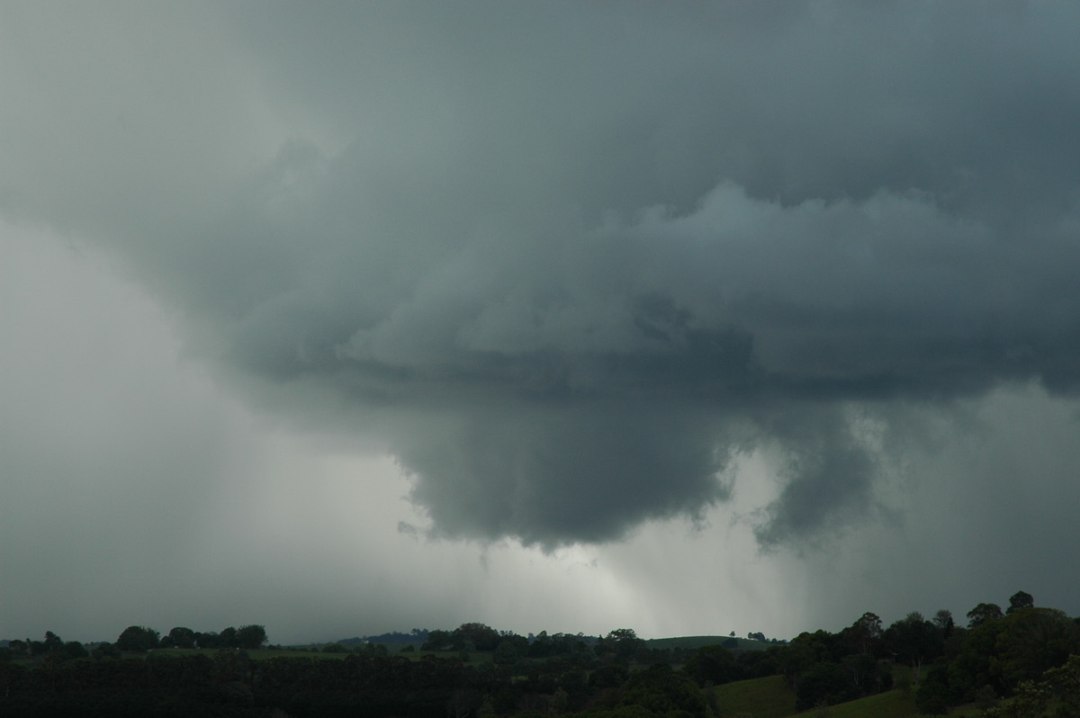 wallcloud thunderstorm_wall_cloud : near Lismore, NSW   29 November 2005