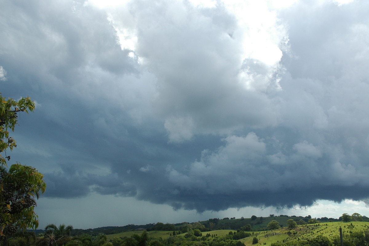 cumulonimbus thunderstorm_base : near Lismore, NSW   29 November 2005