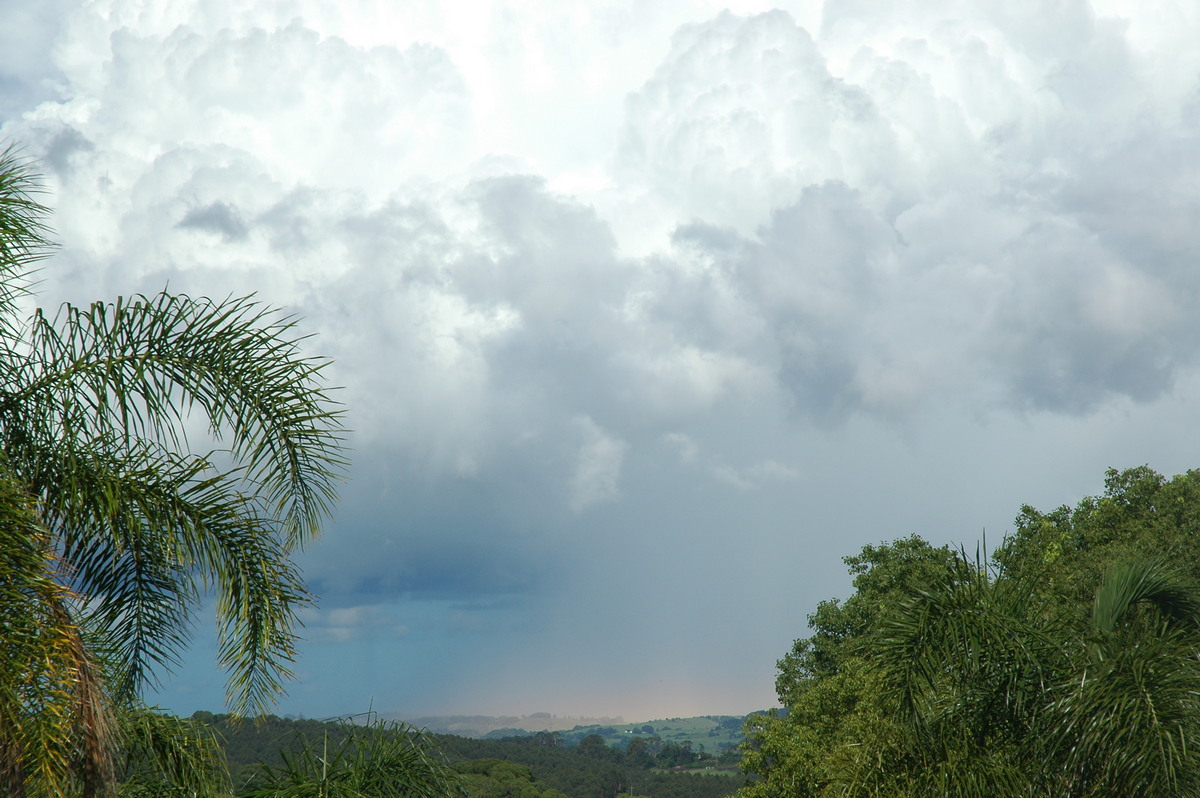 updraft thunderstorm_updrafts : Clunes, NSW   29 November 2005