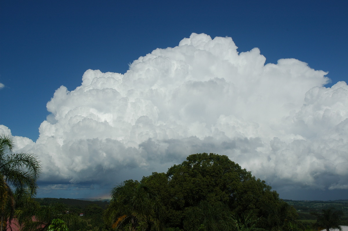 thunderstorm cumulonimbus_incus : Clunes, NSW   29 November 2005