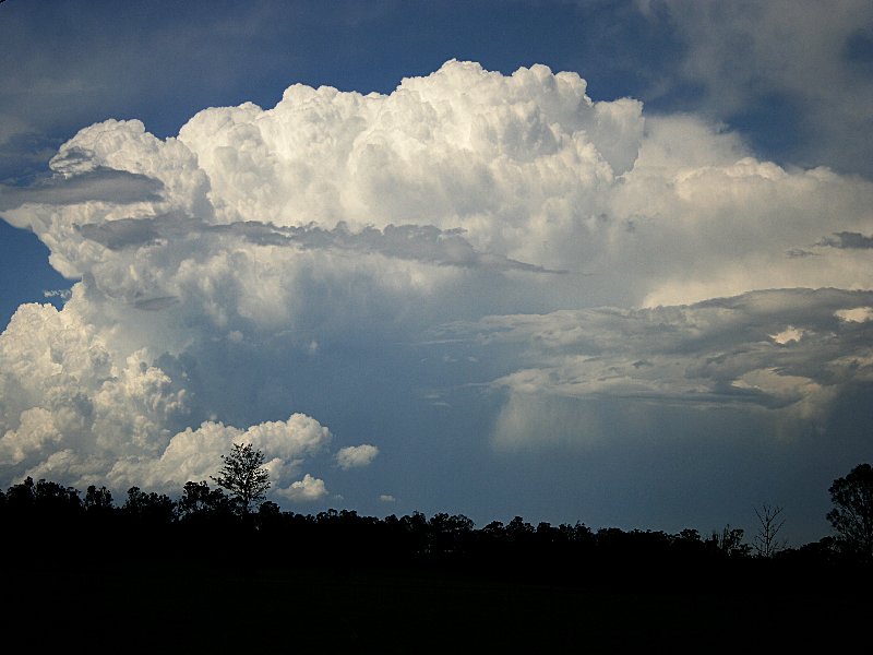 updraft thunderstorm_updrafts : Bringelly, NSW   1 December 2005