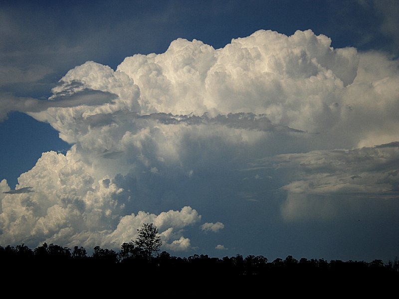 updraft thunderstorm_updrafts : Bringelly, NSW   1 December 2005