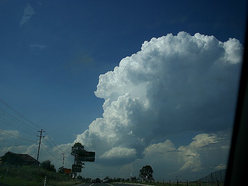 thunderstorm cumulonimbus_calvus : Horsley Park, NSW   1 December 2005