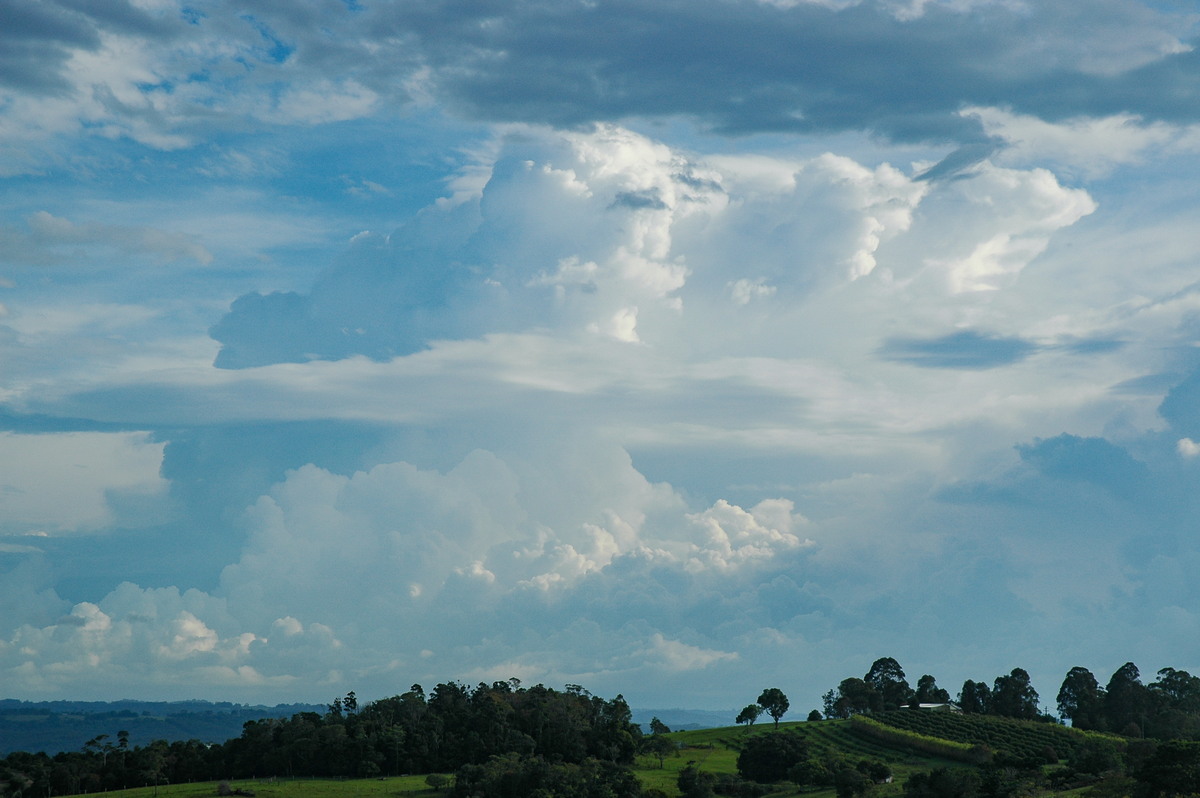 thunderstorm cumulonimbus_incus : McLeans Ridges, NSW   1 December 2005