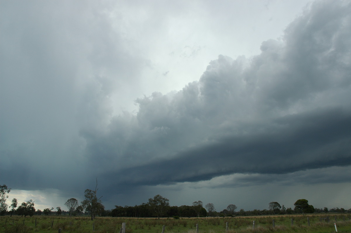 shelfcloud shelf_cloud : S of Lismore, NSW   1 December 2005