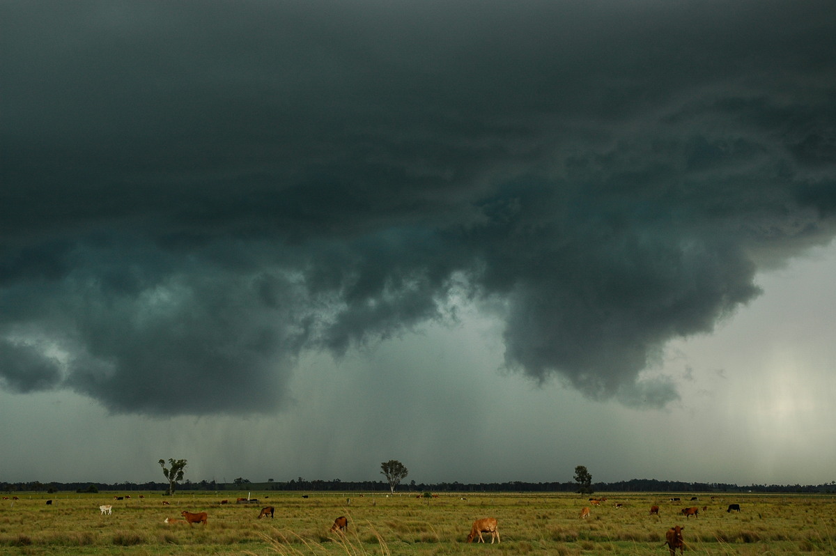 cumulonimbus thunderstorm_base : Coraki, NSW   1 December 2005