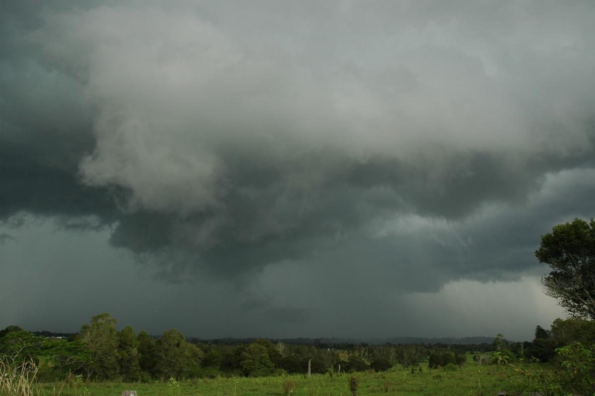 raincascade precipitation_cascade : Tregeagle, NSW   2 December 2005