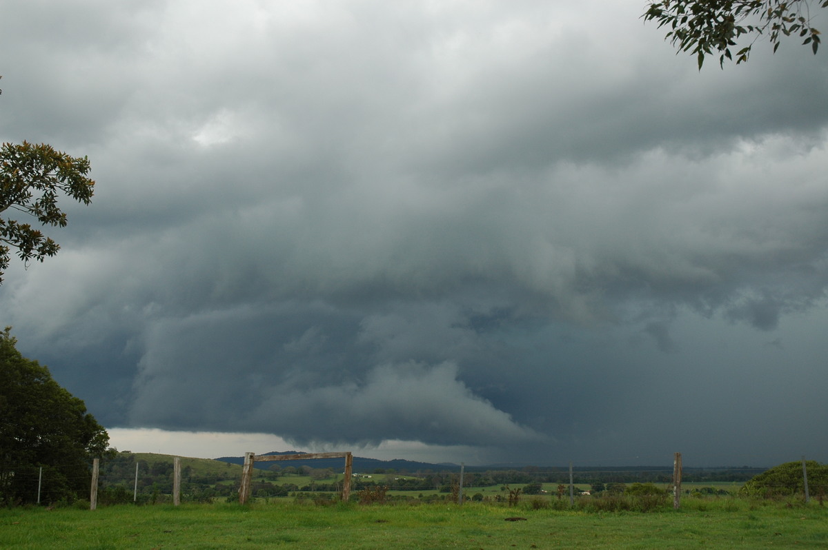 cumulonimbus thunderstorm_base : Tregeagle, NSW   2 December 2005