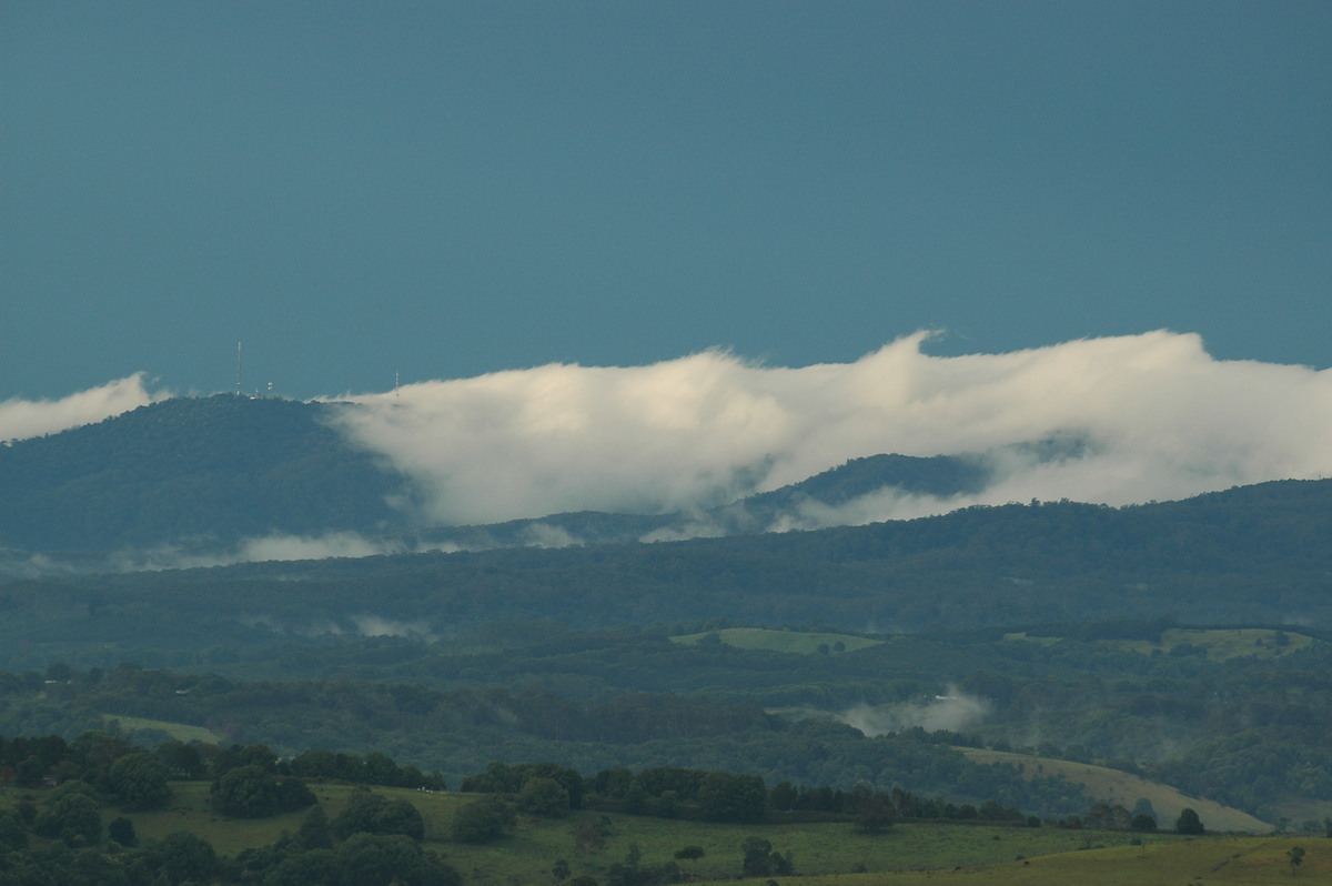 fogmist fog_mist_frost : McLeans Ridges, NSW   8 December 2005